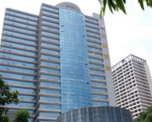 东莞大朗商会案例